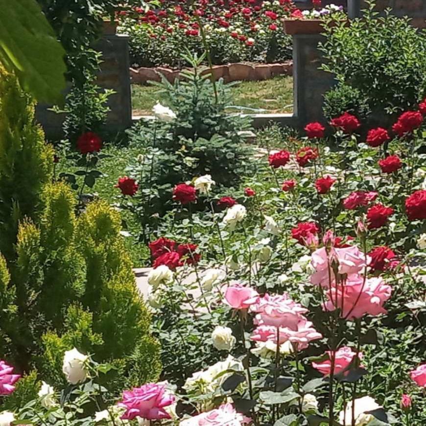 Guest House Hasmik Yeghegnadzor المظهر الخارجي الصورة