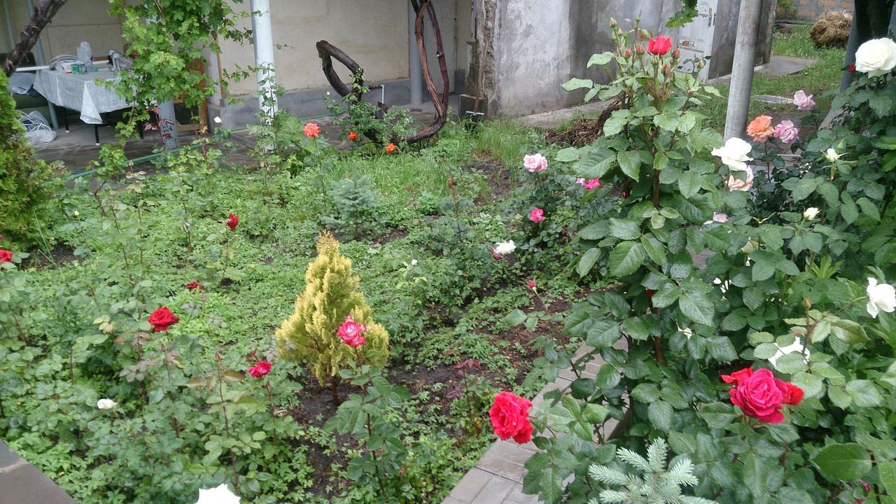Guest House Hasmik Yeghegnadzor المظهر الخارجي الصورة